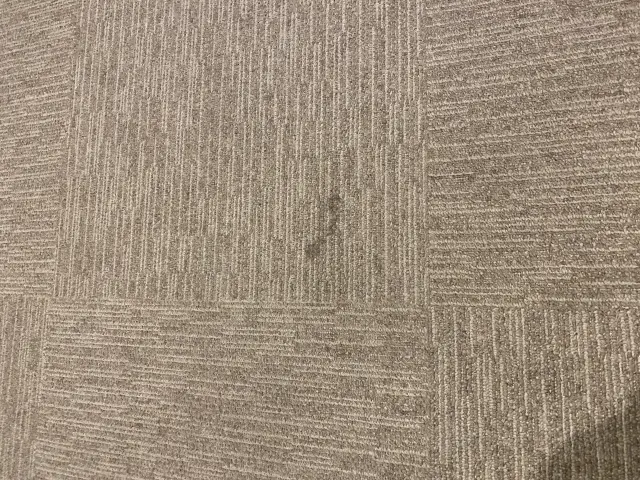 絨毯清掃
