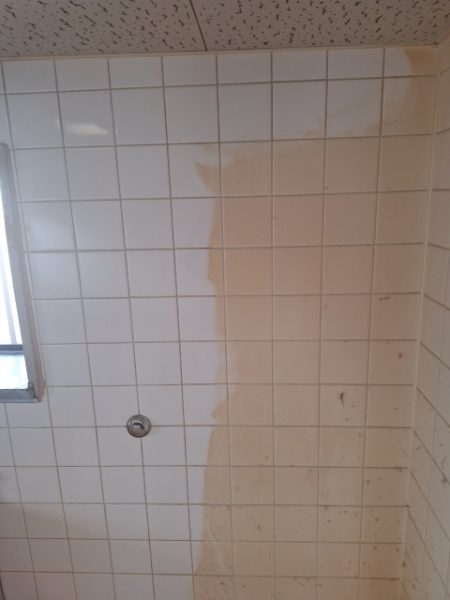 台所換気扇周りの壁